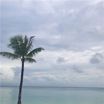 星空下载app下载