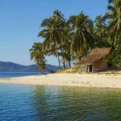 乐鱼app登录入口下载手机版